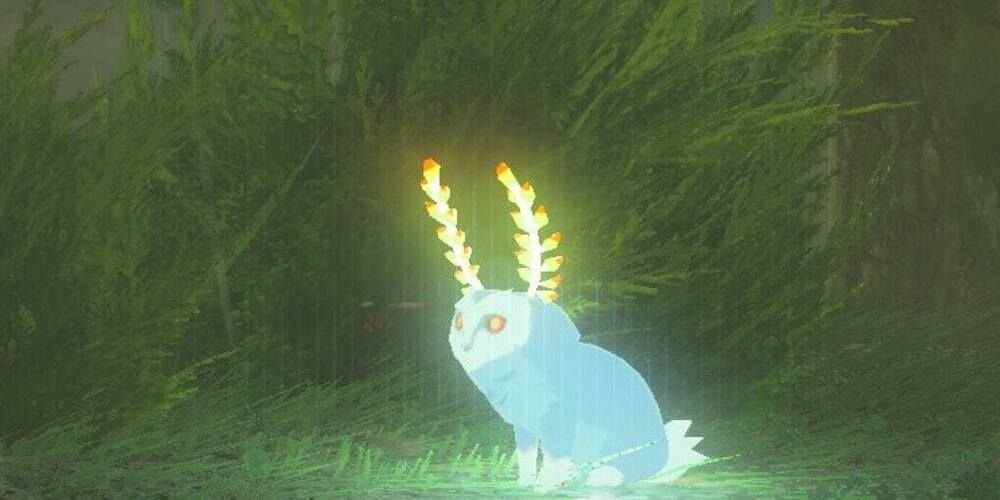 Blupee in Breath of the Wild