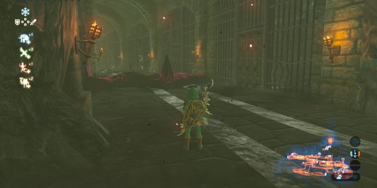 Hyrule Castle's lockup from Breath of the Wild.
