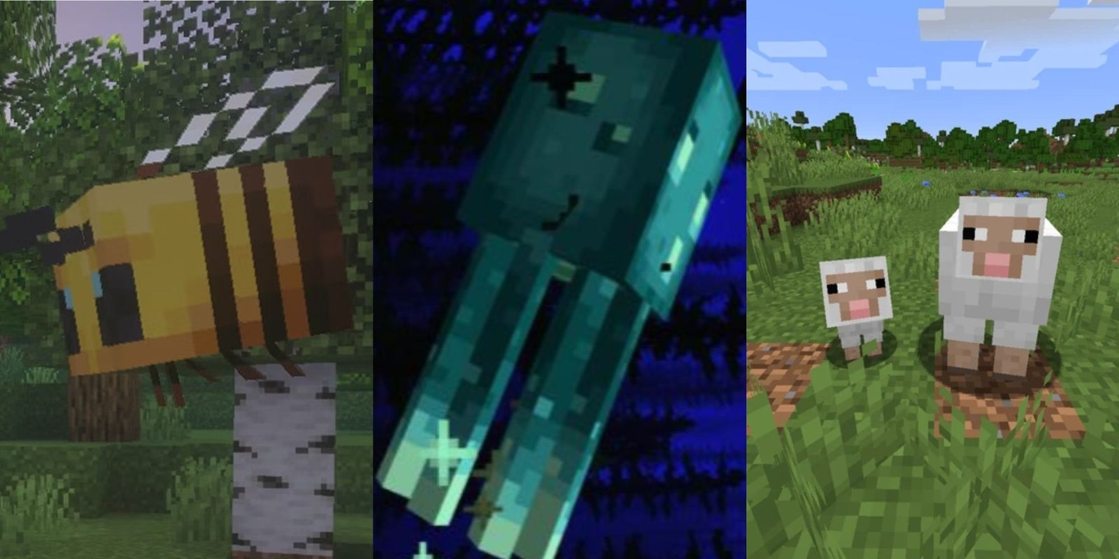 three mobs that spawn in Minecraft's Cherry Groves: bees, glow squids, and sheep