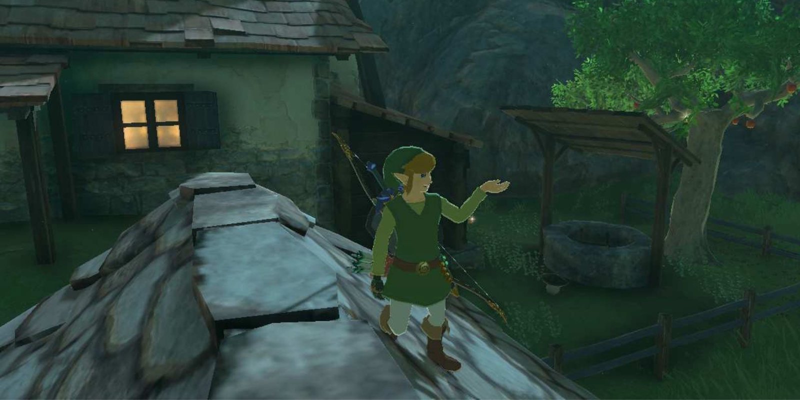 Link showing Zelda's hidden well behind her house